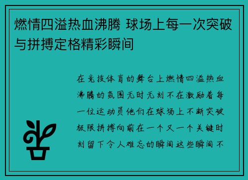 燃情四溢热血沸腾 球场上每一次突破与拼搏定格精彩瞬间